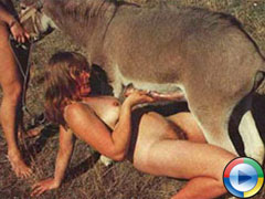 Seks animal zo porno Animal Sex